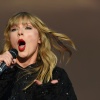 taylor_0239.jpg