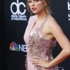 Filename=taylor_0228.jpg
Filesize=591KiB
Dimensions=2001x3000
Date added=May 01, 2025 taylor_0228.jpg
