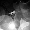 taylor_0019.jpg
