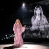taylor_0082.jpg