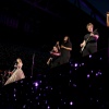 Filename=taylor_0042.jpg
Filesize=408KiB
Dimensions=2048x1365
Date added=May 05, 2025 taylor_0042.jpg