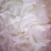 Filename=r_0056.jpg
Filesize=604KiB
Dimensions=1365x2048
Date added=Jun 08, 2025 r_0056.jpg
