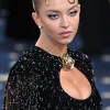 Filename=s_0246.jpg
Filesize=3931KiB
Dimensions=4000x6000
Date added=Jun 08, 2025 s_0246.jpg