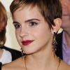 29015_kaneda_Emma_Watson_Warner_Brothers_Leavesden_Studios_Photocall_13_123_132lo.jpg