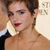 29111_kaneda_Emma_Watson_Warner_Brothers_Leavesden_Studios_Photocall_16_123_386lo.jpg