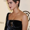 29182_kaneda_Emma_Watson_Warner_Brothers_Leavesden_Studios_Photocall_18_123_167lo.jpg