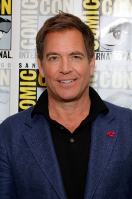 661665832_2226873628-2025-comic-con-international-san-diego-ncis-tony-ziva-pr.jpg