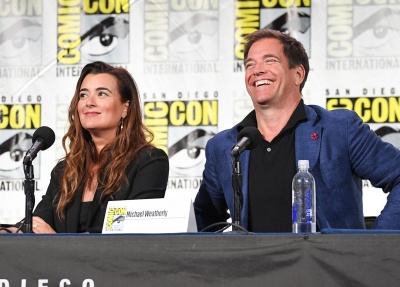 661666691_2226872460-ncis-tony-ziva-panel-_l.jpg