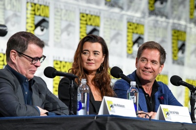 661666732_2226873601-ncis-tony-ziva-panel-_l.jpg