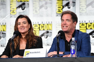 661666740_2226873663-ncis-tony-ziva-panel-_l.jpg