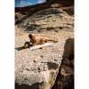josephine_0028.jpg