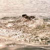 josephine_0111.jpg