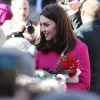 kate_0077.jpg