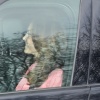 kate_0018.jpg
