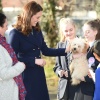 kate_0015.jpg