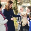 kate_0016.jpg