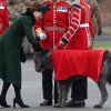 kate_0022.jpg