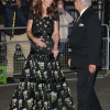 Filename=kate_0015.jpg
Filesize=2305KiB
Dimensions=3603x4860
Date added=Aug 30, 2026 kate_0015.jpg