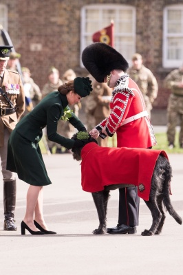 kate_0068.jpg