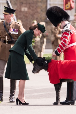 kate_0070.jpg