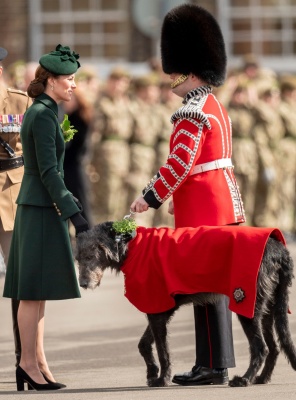 kate_0161.jpg