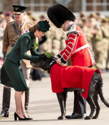 kate_0166.jpg