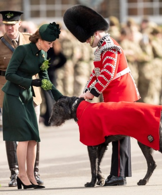 kate_0167.jpg