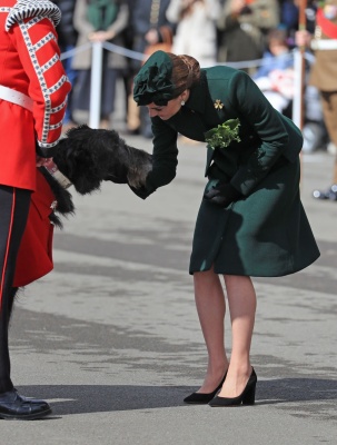 kate_0192.jpg