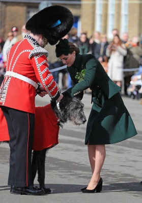 kate_0194.jpg