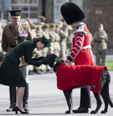 kate_0219.jpg
