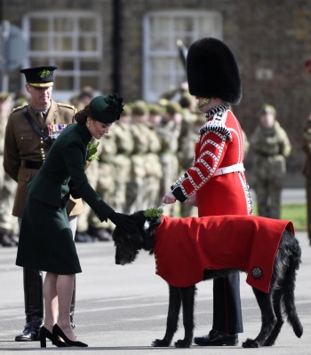 kate_0299.jpg