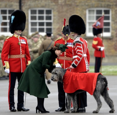 kate_0302.jpg