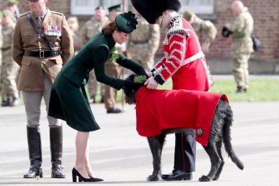 kate_0308.jpg