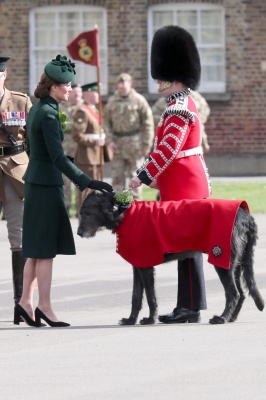 kate_0338.jpg