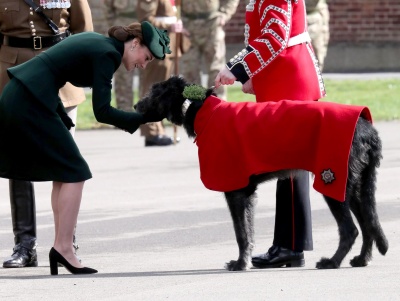 kate_0347.jpg