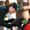 Filename=kate_0028~0.jpg
Filesize=381KiB
Dimensions=1999x1434
Date added=Aug 30, 2026 kate_0028~0.jpg