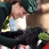 Filename=kate_0032.jpg
Filesize=252KiB
Dimensions=1134x1582
Date added=Aug 30, 2026 kate_0032.jpg