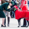 Filename=kate_0124.jpg
Filesize=456KiB
Dimensions=2048x1449
Date added=Aug 30, 2026 kate_0124.jpg