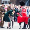 Filename=kate_0126.jpg
Filesize=477KiB
Dimensions=2048x1580
Date added=Aug 30, 2026 kate_0126.jpg