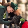 kate_0157.jpg