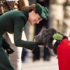 Filename=kate_0158.jpg
Filesize=435KiB
Dimensions=2048x1346
Date added=Aug 30, 2026 kate_0158.jpg