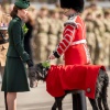 Filename=kate_0161.jpg
Filesize=418KiB
Dimensions=1519x2048
Date added=Aug 30, 2026 kate_0161.jpg
