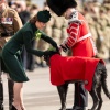 Filename=kate_0164.jpg
Filesize=460KiB
Dimensions=1664x2048
Date added=Aug 30, 2026 kate_0164.jpg