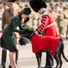 Filename=kate_0166~0.jpg
Filesize=525KiB
Dimensions=1783x2048
Date added=Aug 30, 2026 kate_0166~0.jpg