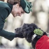 kate_0211.jpg