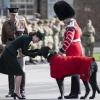 kate_0219.jpg