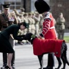 kate_0220.jpg