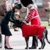 Filename=kate_0309.jpg
Filesize=1576KiB
Dimensions=4763x3175
Date added=Aug 30, 2026 kate_0309.jpg