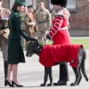 Filename=kate_0338.jpg
Filesize=1496KiB
Dimensions=3227x4840
Date added=Aug 30, 2026 kate_0338.jpg