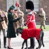 Filename=kate_0339~0.jpg
Filesize=1975KiB
Dimensions=5472x3648
Date added=Aug 30, 2026 kate_0339~0.jpg